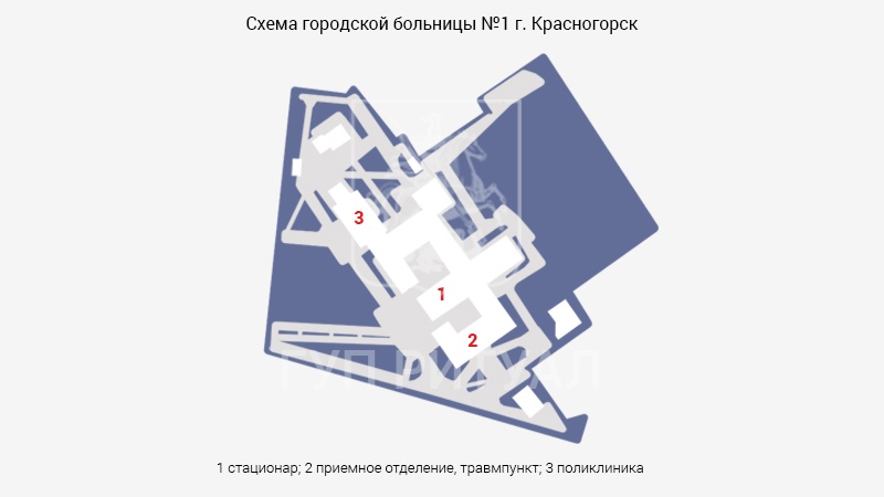 Схема морга Красногорской городской больницы № 1 в Московской области